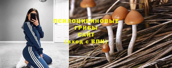 ешки Краснотурьинск
